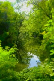 Wissa-Creek-6.24