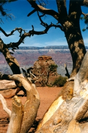 Grand-Canyon-2