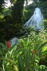 Jamaica-Falls-2