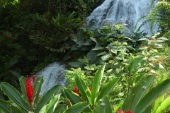 Jamaica-Falls-2