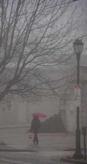 Umbrella-in-Fog-2