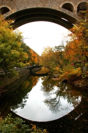 Wissahickon Valley-203