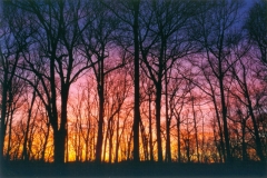 Sunset-over-the-Wissahickon-2