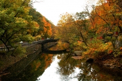 Wissahickon Valley-203